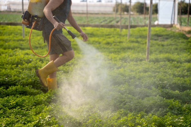 Best Affordable Pest Control Services  in Mill Creek, WA