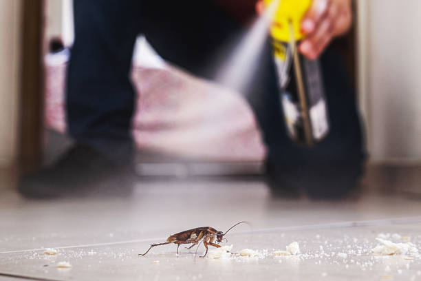 Best Exterminator Services  in Mill Creek, WA